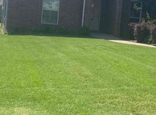 Alex D.'s Lawn Mowing service result