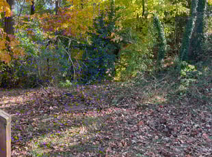 Cleanups by Austin Boozer for Shanteria M. in Charlotte, NC