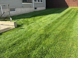 Tanicqua N.'s Lawn Mowing service result