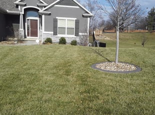 Leaf Removal by Julio Almestica for Kenneth S. in Blue Springs, MO