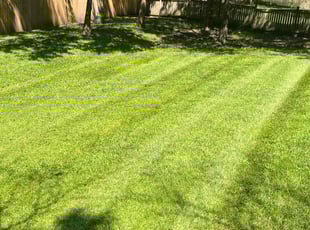 Ryan L.'s Lawn Mowing service result