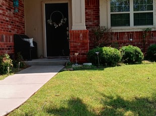 Bush Trimming by Karlie Young for Kayla M. in Norman, OK