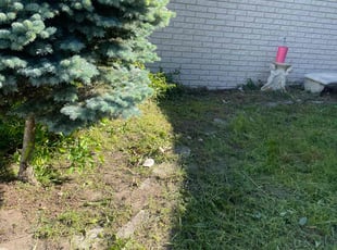 Weeding by Andrew Snell for Stacy M. in Southfield, MI