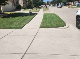 Lea F.'s Lawn Care service result