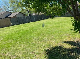 Tamisha C.'s Lawn Service service result
