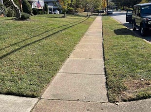 Joseph M.'s Yard Cutting service result