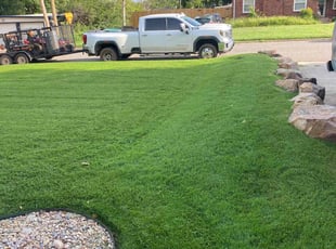 William H.'s Grass Cutting service result