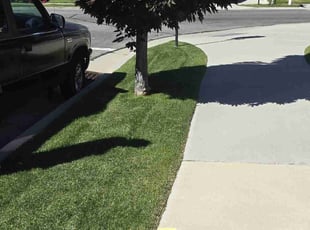 Sandy S.'s Yard Cutting service result