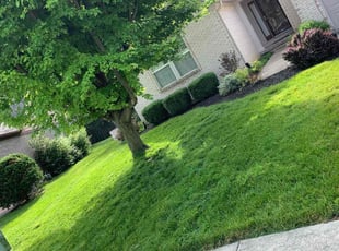 Louis C.'s Lawn Care service result