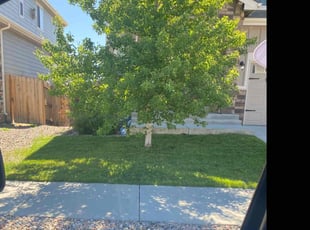 Paul E.'s Lawn Care service result