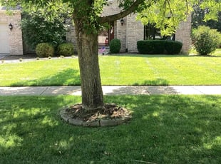 Janis R.'s Lawn Care service result