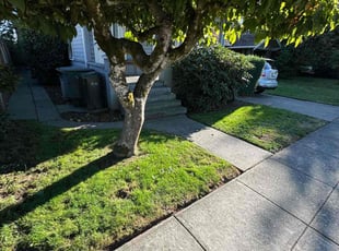 Darren H.'s Lawn Care service result