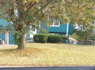 Bush Trimming by Alan Johnson for Amy B. in Kansas City, MO