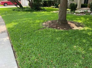 Connie K.'s Grass Cutting service result
