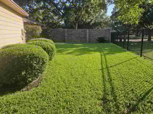 Sheana D.'s Lawn Mowing service result