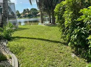 Sheron R.'s Grass Cutting service result
