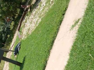 TANYA R.'s Lawn Care service result