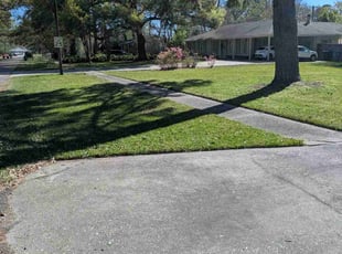 Yvonne M.'s Lawn Care service result