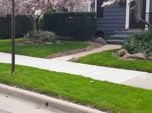 Bently B.'s Lawn Mowing service result