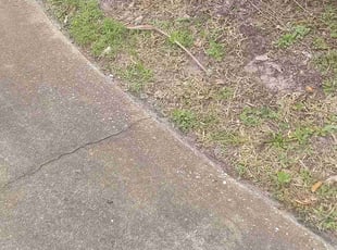 Cleanups by Miguel Rodriguez for Robert G. in Ormond Beach, FL