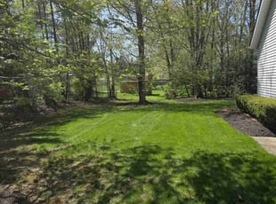 Marina V.'s Lawn Care service result