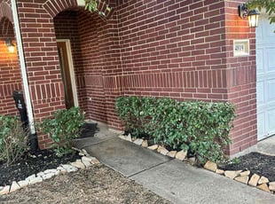 Bush Trimming by Danny Blanco for Duane B. in Houston, TX