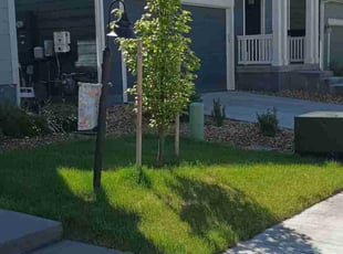Tim J.'s Lawn Care service result