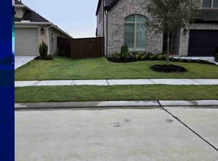 Nate F.'s Lawn Care service result
