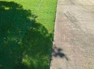 Daniel W.'s Lawn Service service result