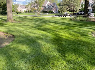 Donavan P.'s Lawn Service service result