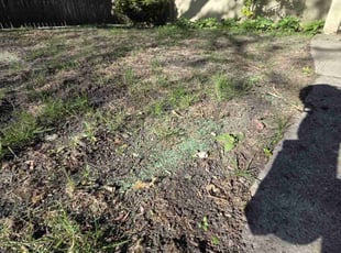 Aeration by Jeremy Myhre for Justin D. in La Grange, IL