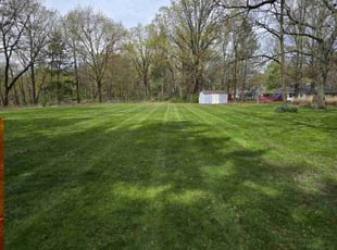 Misha P.'s Lawn Maintenance service result