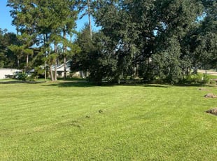 Jon S.'s Grass Cutting service result