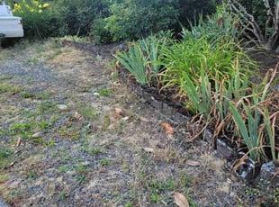 Bush Trimming by Jeffrey Preece for Travis L. in Vancouver, WA
