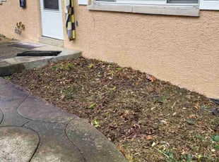 Weeding by Josh Papworth for Alicia H. in Columbus, OH