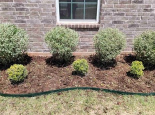 Bush Trimming by Darrell Arita for Amy R. in Mustang, OK