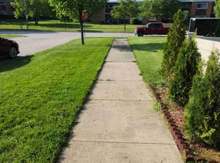 Cassie C.'s Yard Cutting service result