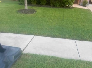 Ron T.'s Grass Cutting service result