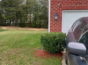 Bush Trimming by Timothy Pannell for Danita R. in Whitsett, NC