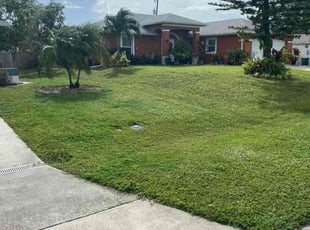 Ryan C.'s Lawn Mowing Service service result