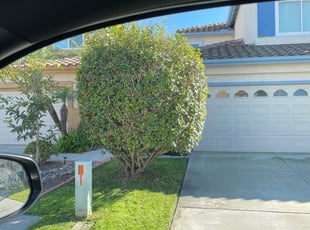 Bush Trimming by Nicholas Poulsen for Brian M. in San Diego, CA