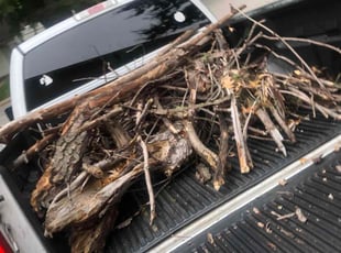 Cleanups by Paul Handley for Philip B. in Tulsa, OK