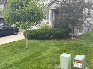 Bush Trimming by Clay Allen for claire e. in Westfield, IN