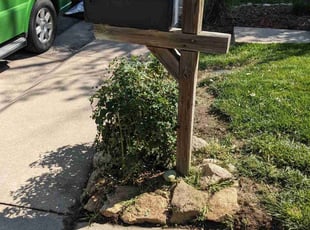 Bush Trimming by Johnny Hines for Jesse L. in Aurora, CO