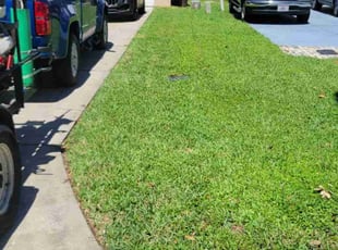 Neysa A.'s Lawn Care service result