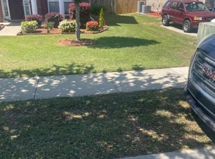 Emily M.'s Grass Cutting service result