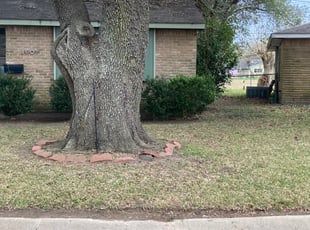 Cleanups by Destiny Wright for Jeanette R. in Houston, TX