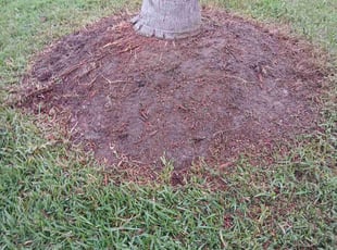Mulching by Jean Claude Zephirin for Kathy W. in Middleburg, FL