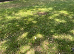 Leaf Removal by Garrick Murphy for Mark S. in Kansas City, MO