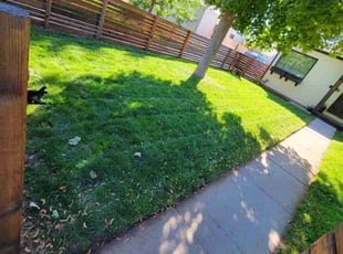 BellaFoods A.'s Lawn Mowing service result